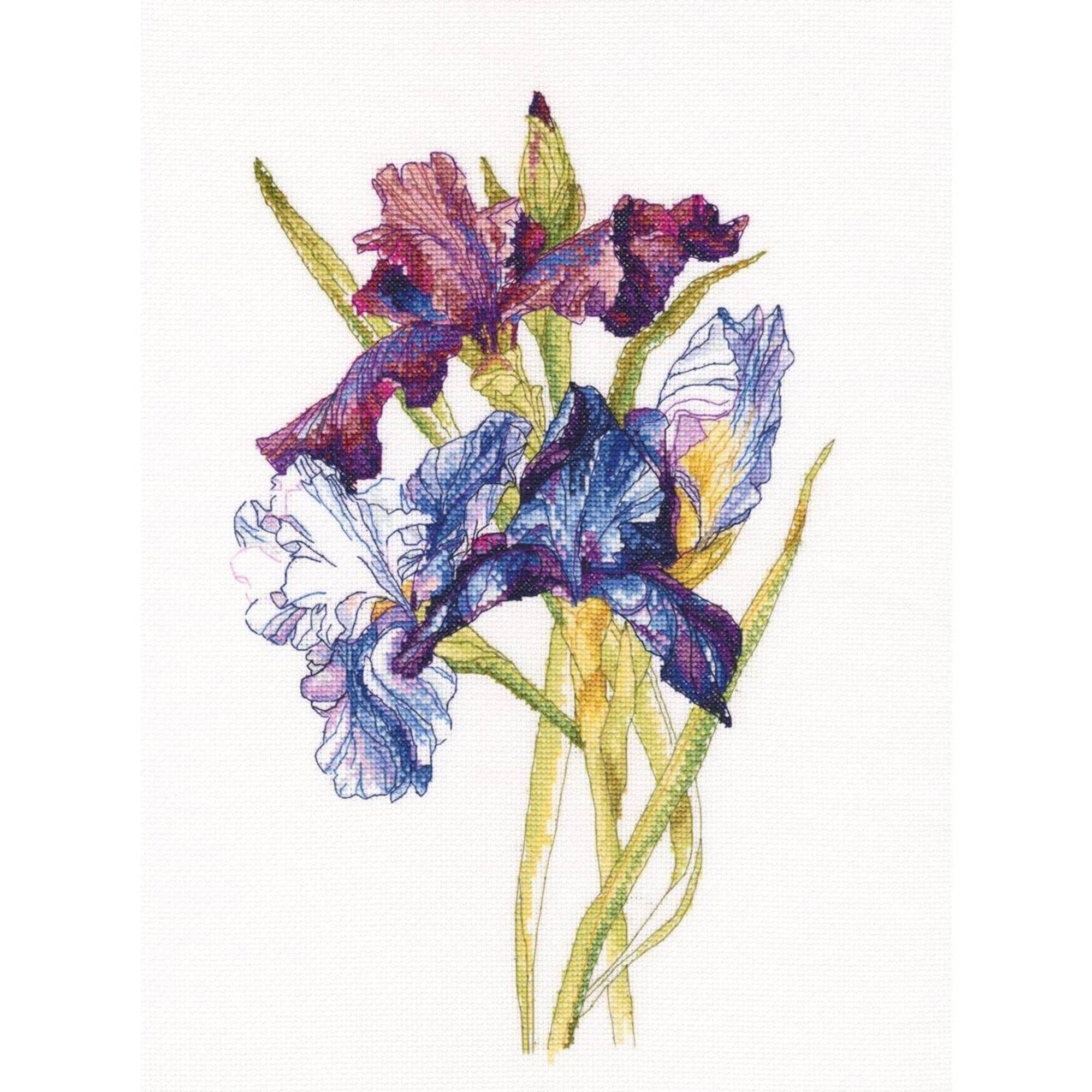 RTO Irises Rainbow Cross Stitch Kit